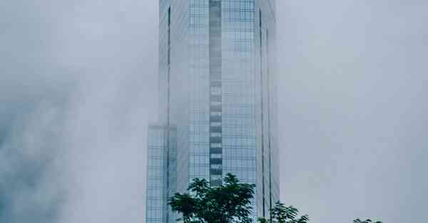 佛跳墙官网下载